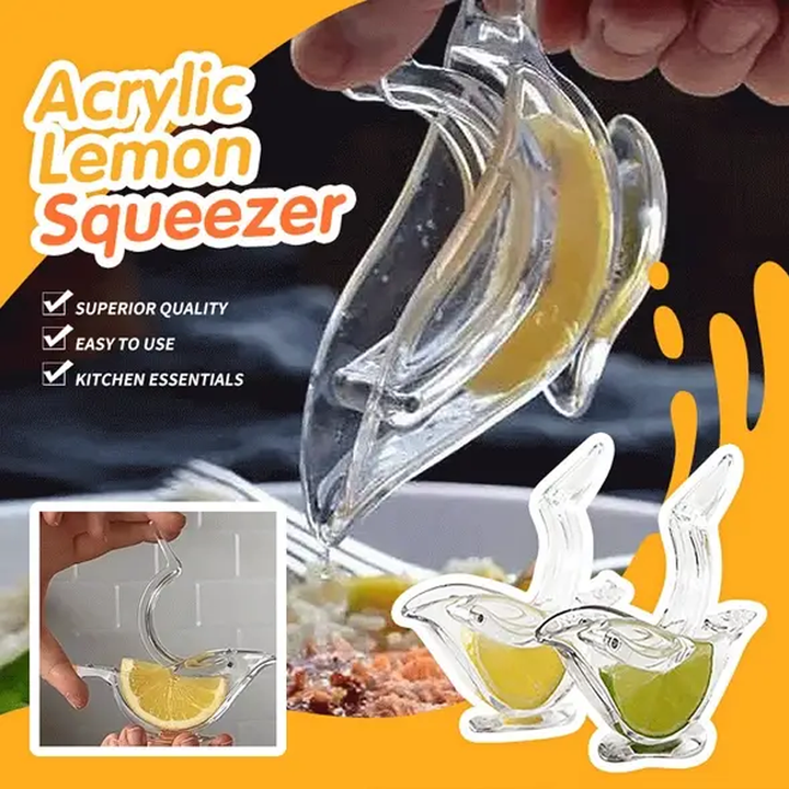 Transparent Manual Juicer | Stornfield