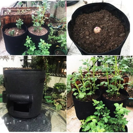 GrowMaster Pro — More power for your plants, so your harvest will amaze everyone! | Stornfield