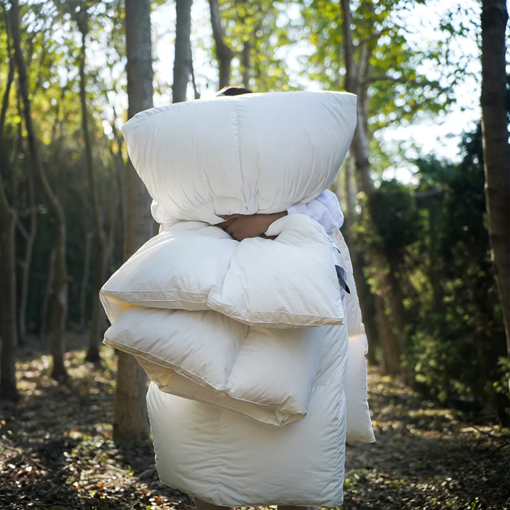 Goose down comforter, 95% down, cotton cover