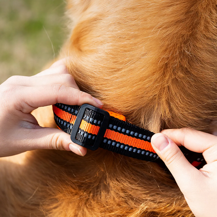 Nylon-Reflective Collar for Dogs and Cats