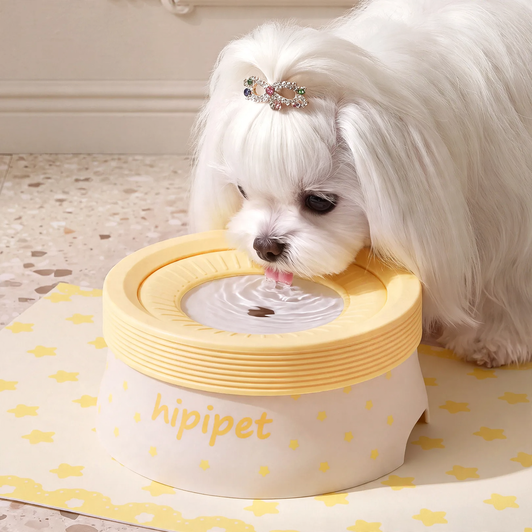 Floating drinking bowl for dogs and cats