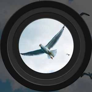 Stornfield | Binoculars High Power Night Vision Waterproof