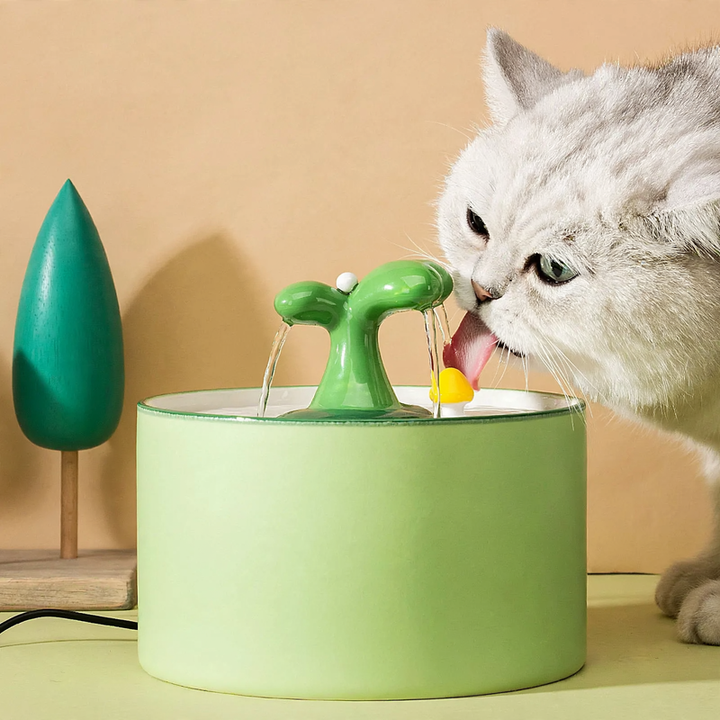 Electric ceramic drinking fountain with filtration and water circulation