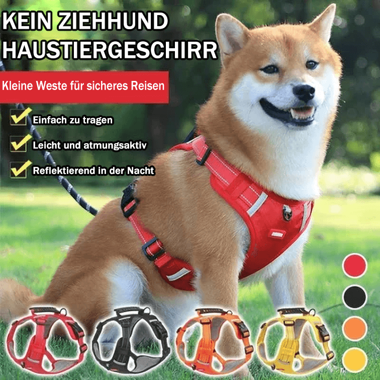 Stornfield | No-pull Dog Harness for Pets