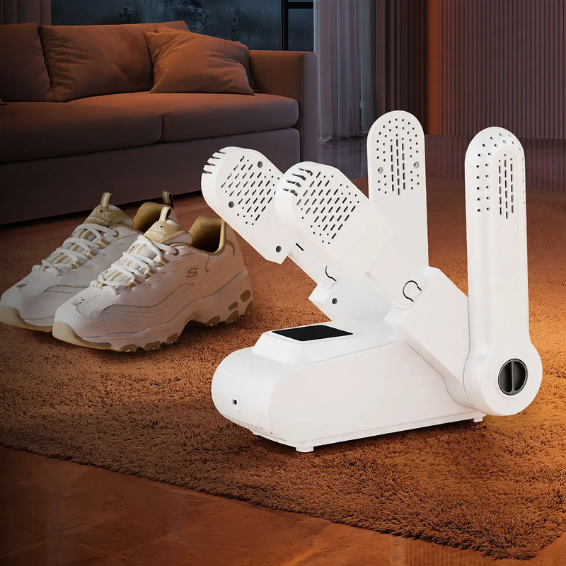 Electric shoe dryer with timer and disinfection function