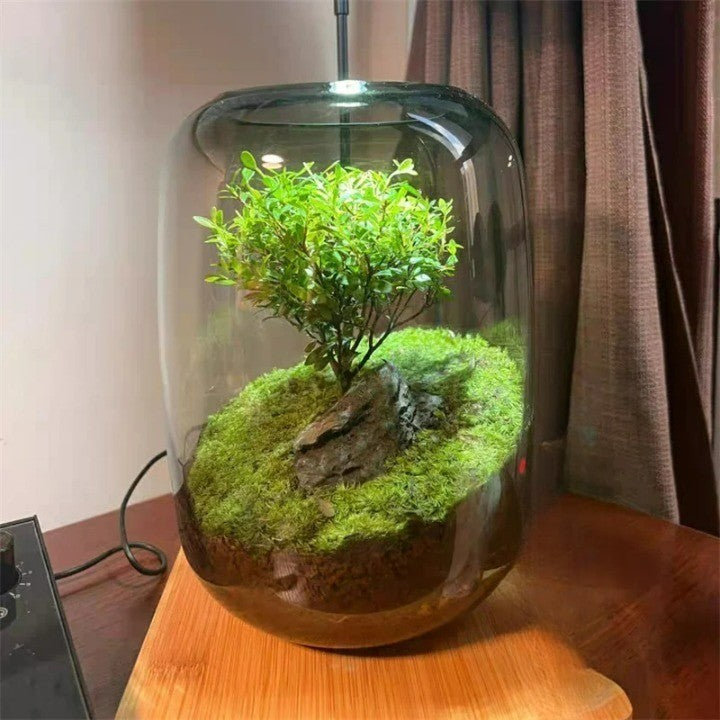 Micro Landscape Green Oasis Glass Vase | Stornfield