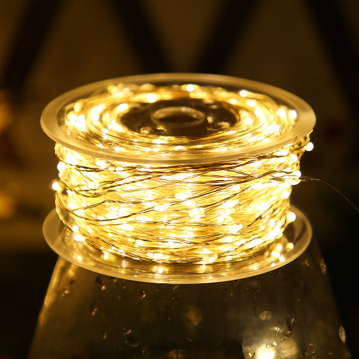 LED string lights with remote control