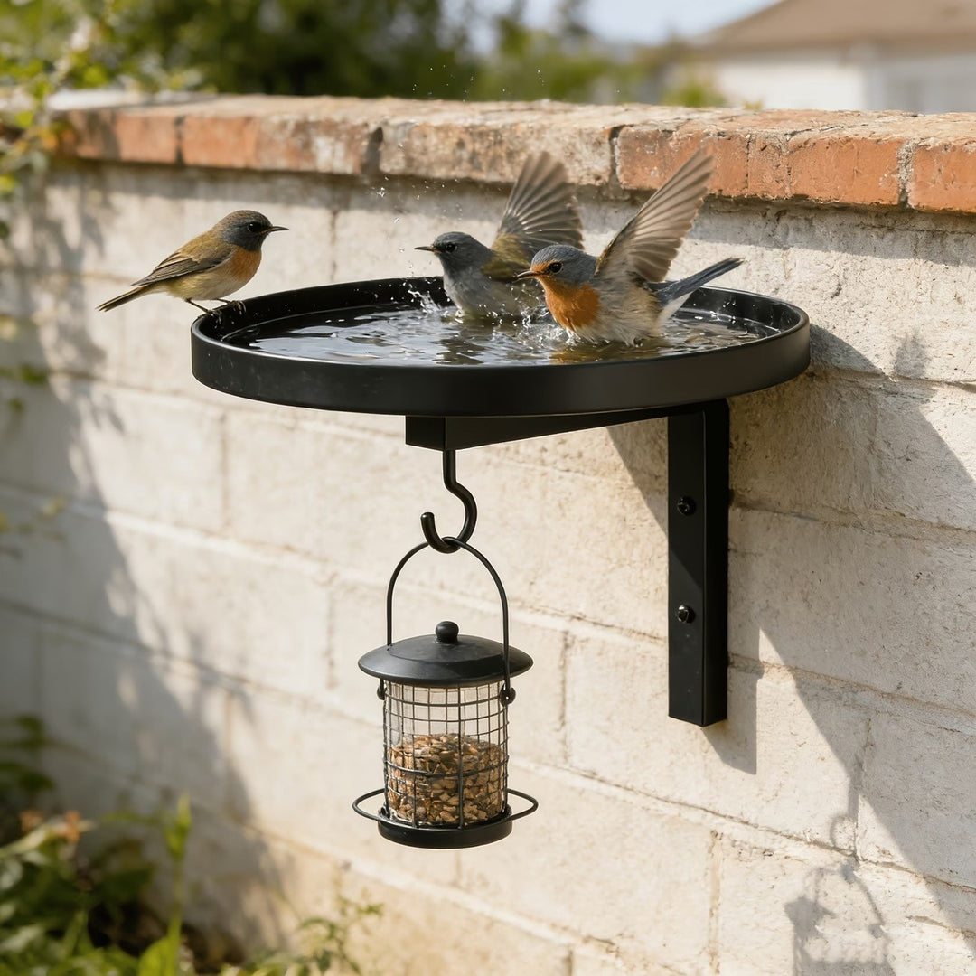 Wall Birdbath or Plant Holder made of Metal