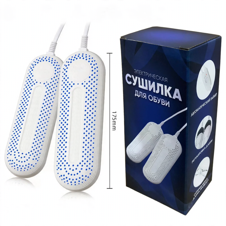 Electric shoe dryer with timer function