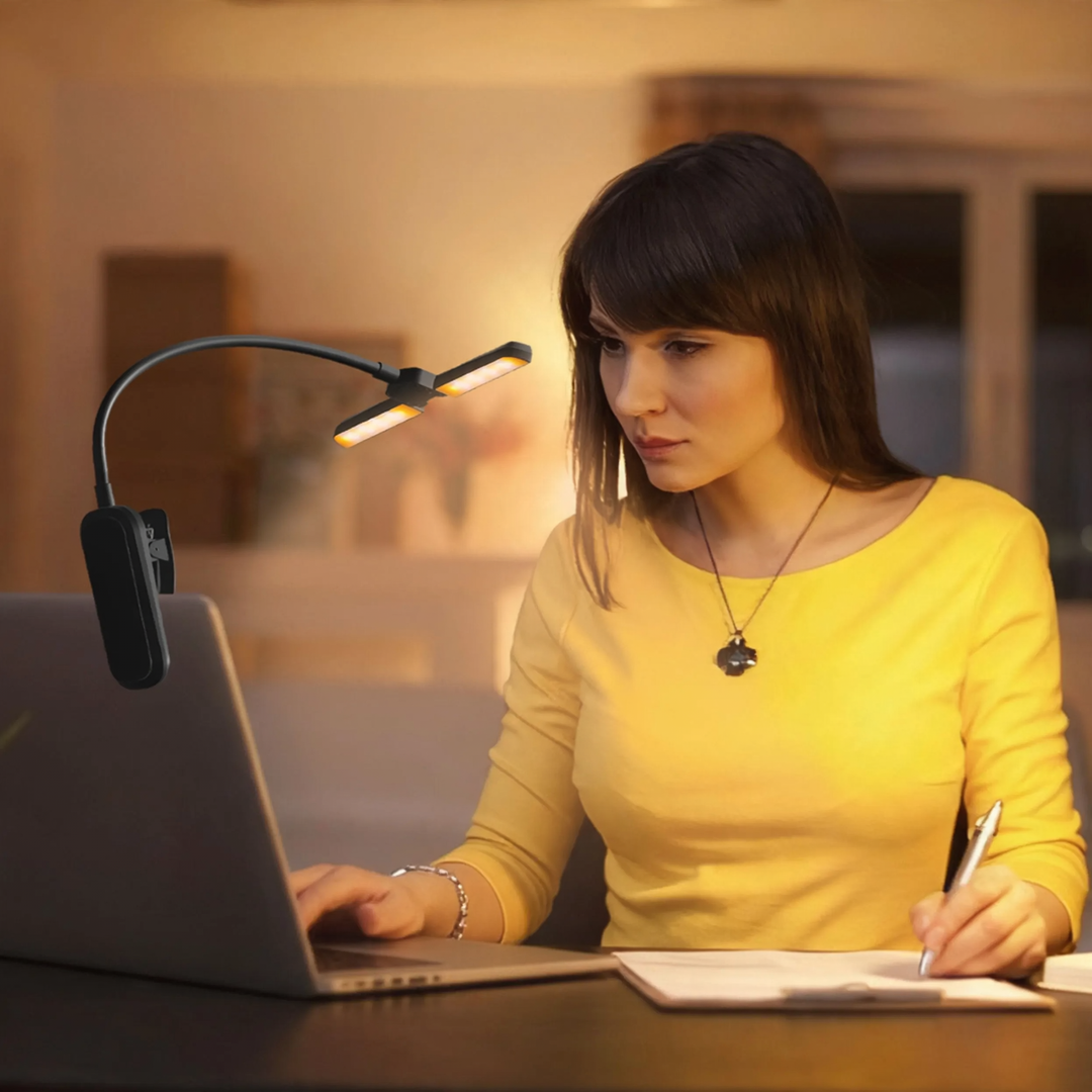 Double-headed reading lamp with clip, dimmable, USB-C
