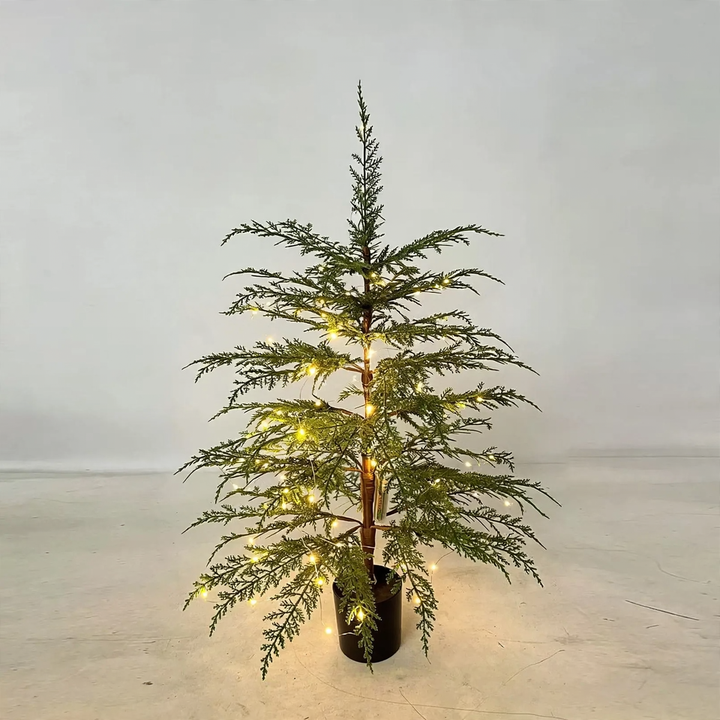 Artificial Norfolk fir tree in basket, 45-120 cm