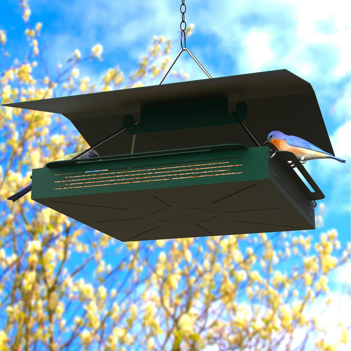 Elegant metal bird station for hanging