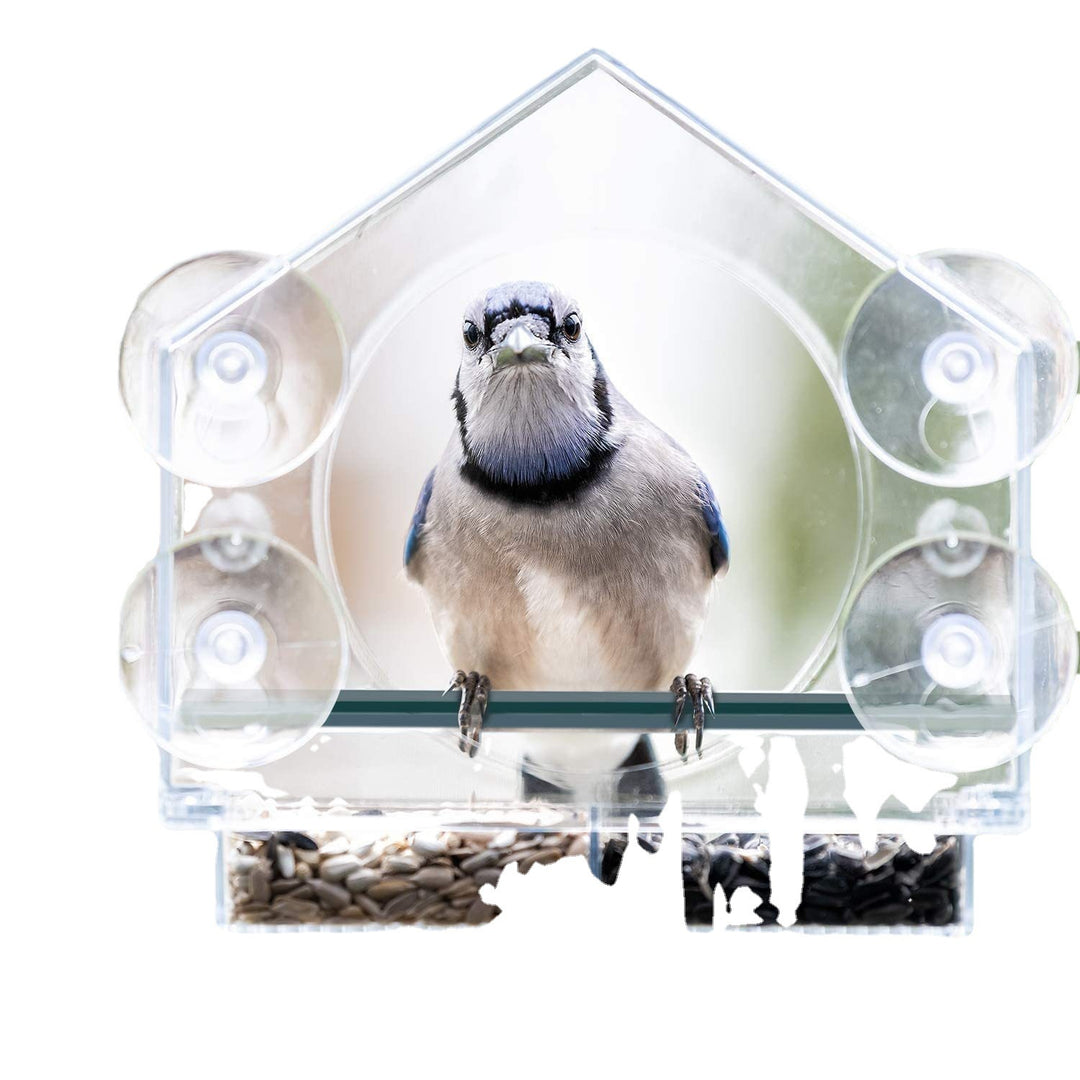 Birdhouse feeding station made of acrylic