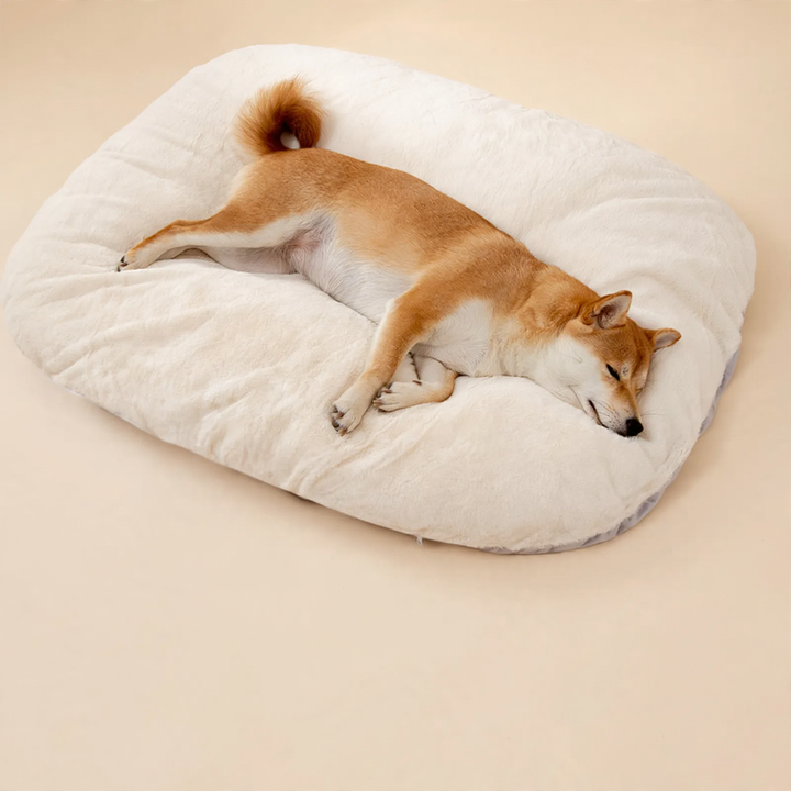 Dog bed, washable, S–XL, warming