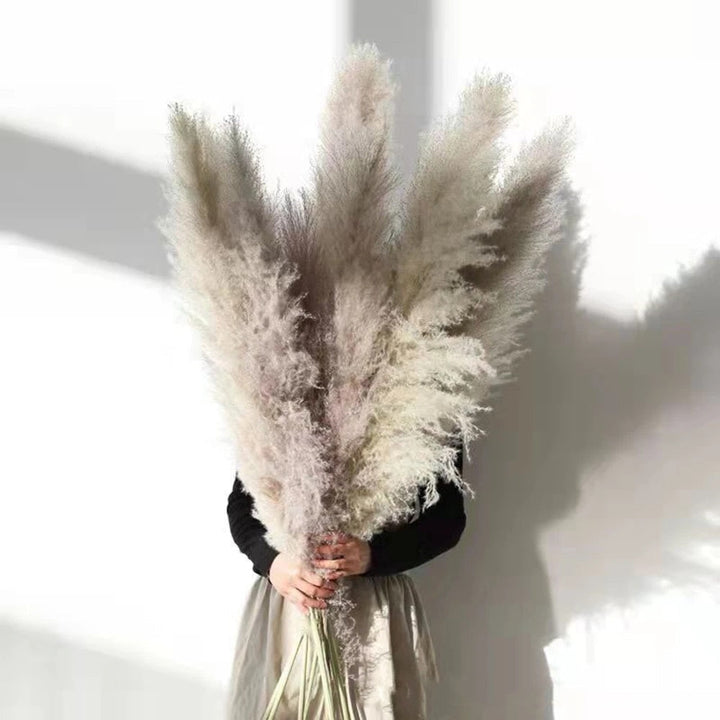 Stornfield | FeatherFawn - Dried Pampas Flowers