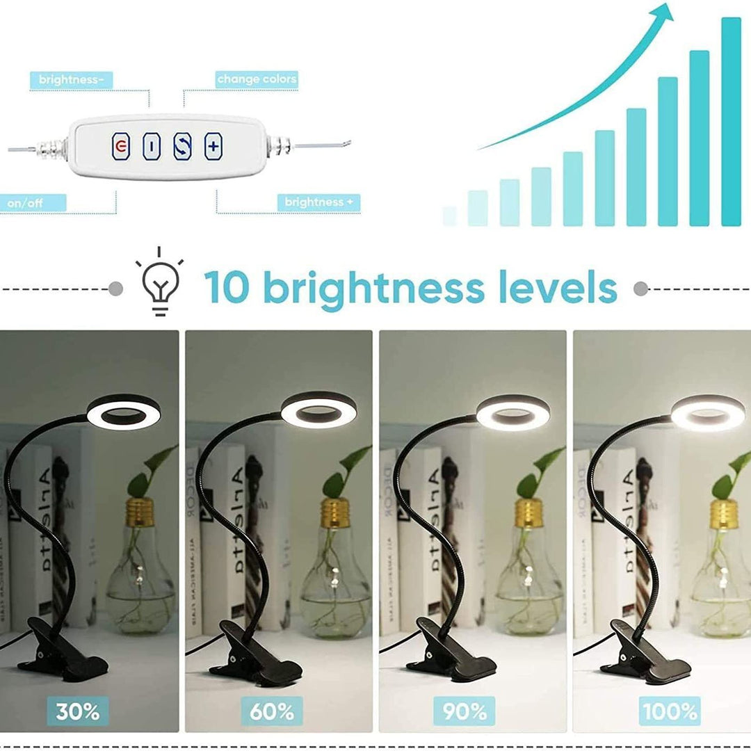 LED clamp lamp with flexible gooseneck