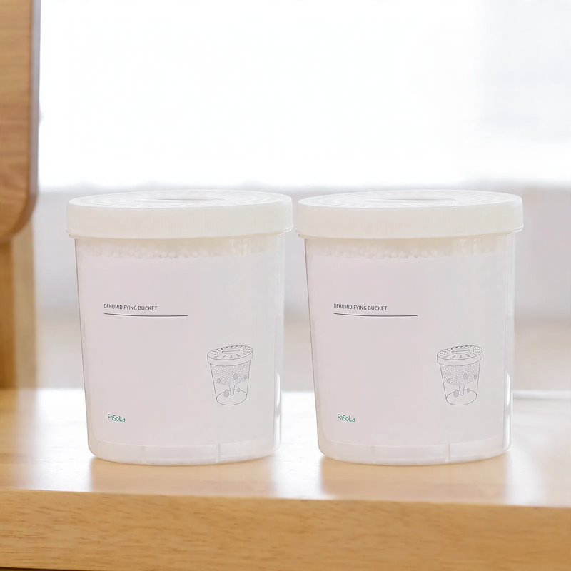 Dehumidifier box against moisture and mold