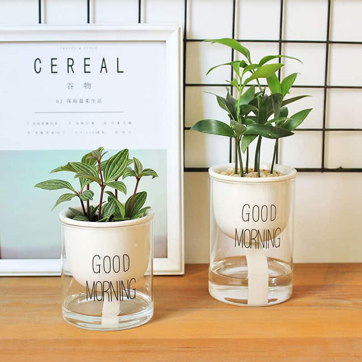 Stornfield | Self-Watering Hydro Planter