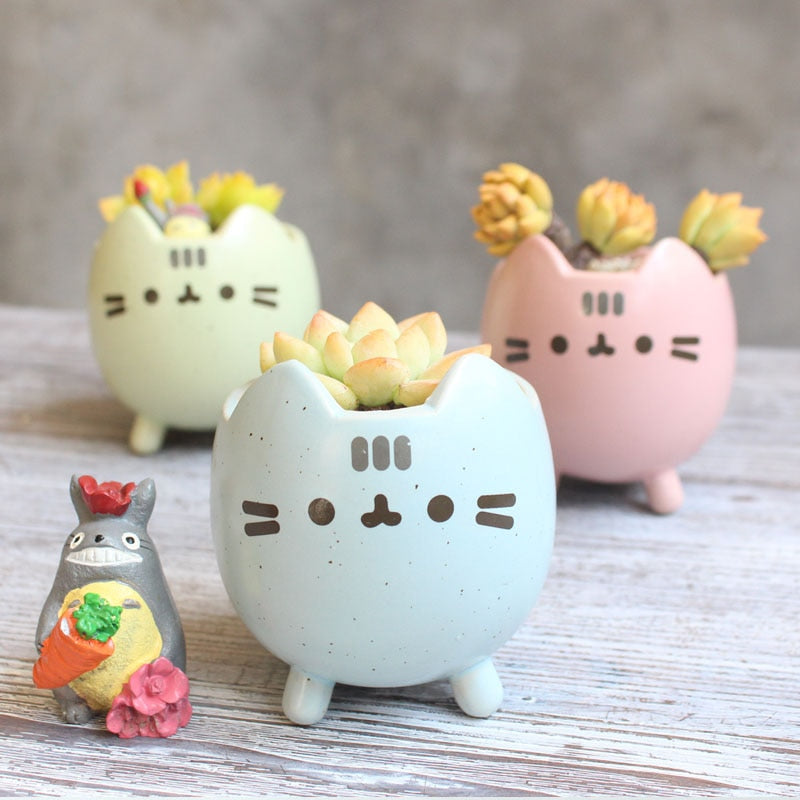 Stornfield Box-Shaped Ceramic Garden Planter, Easy to Maintain