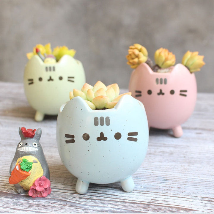 Stornfield Box-Shaped Ceramic Garden Planter, Easy to Maintain