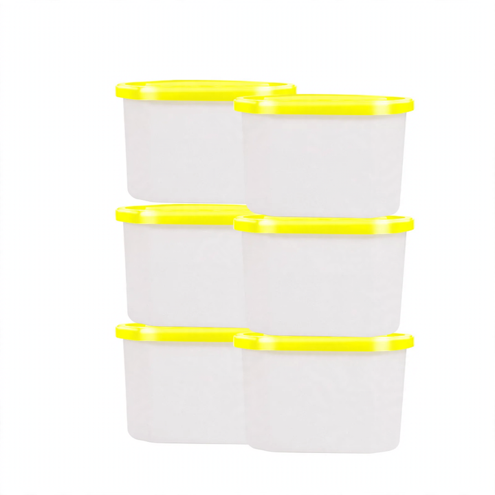 Empty Dehumidifier Box for Indoor Use, 500ml