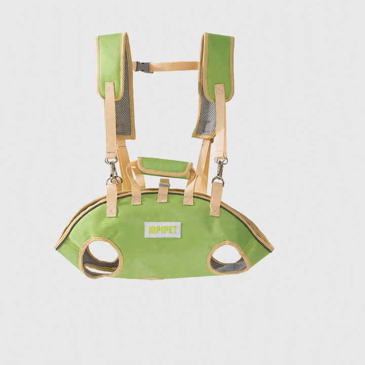 Multifunctional Pet Carrier Bag with Leash