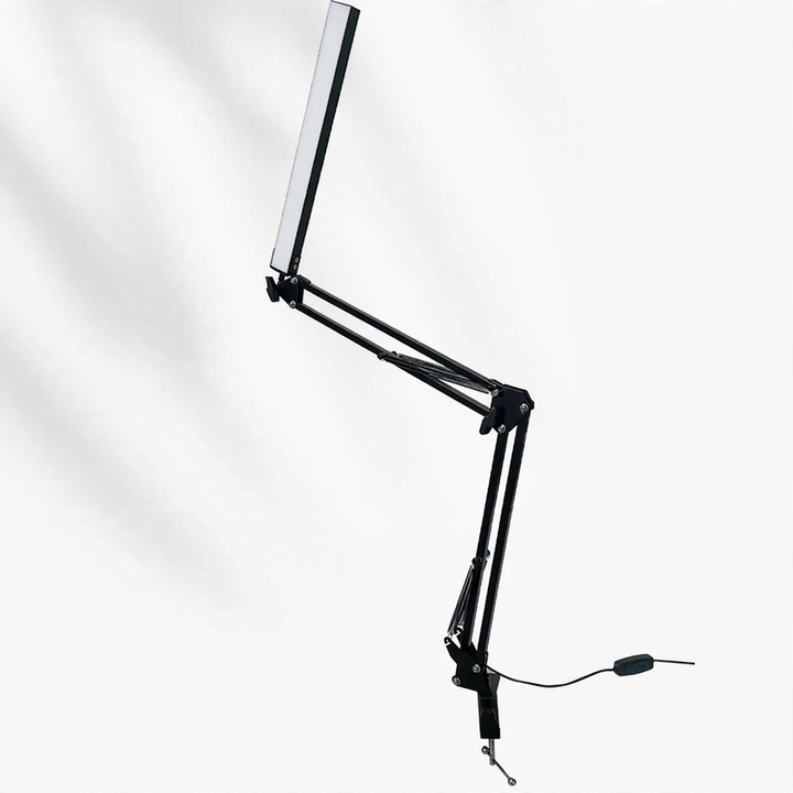 LED clamp lamp with flexible arm