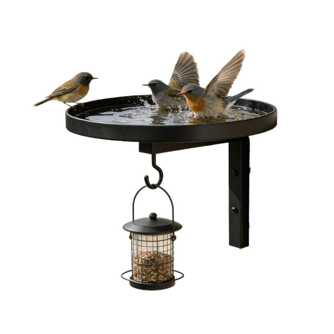 Wall Birdbath or Plant Holder made of Metal