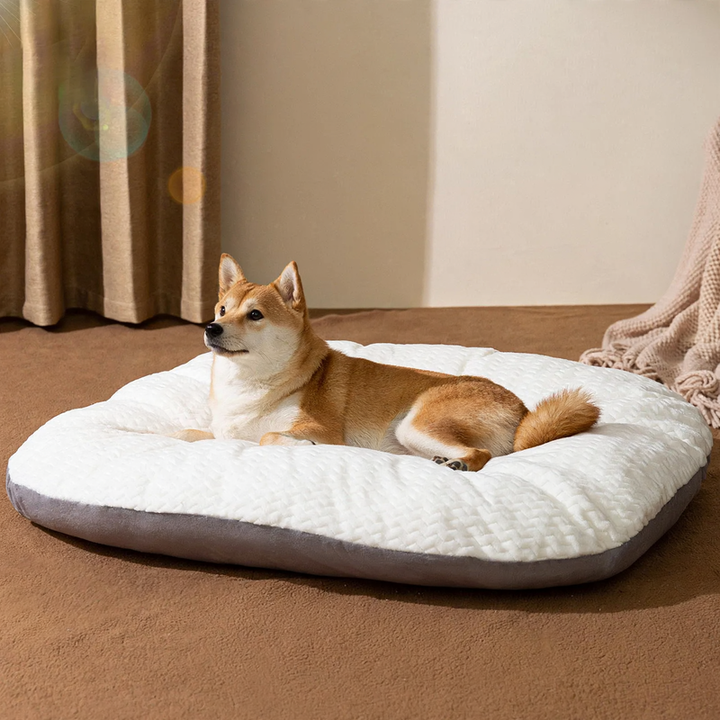 Dog bed, washable, S–XL, warming