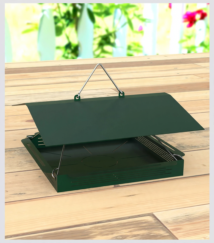 Hanging Bird Feeder Station with Tray