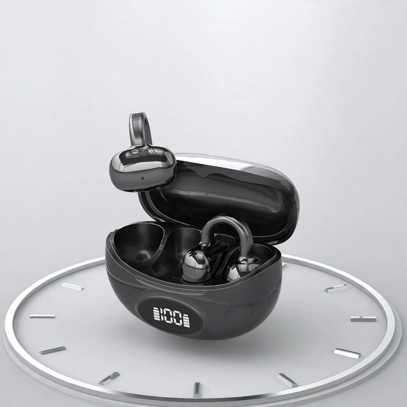 TWS Earbuds with Ear Hook and Digital Display