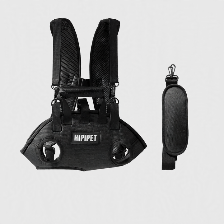 Multifunctional Pet Carrier Bag with Leash