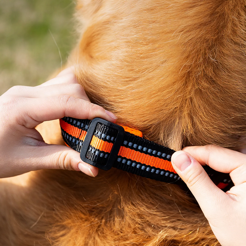 Fabric collar for dogs, adjustable and durable