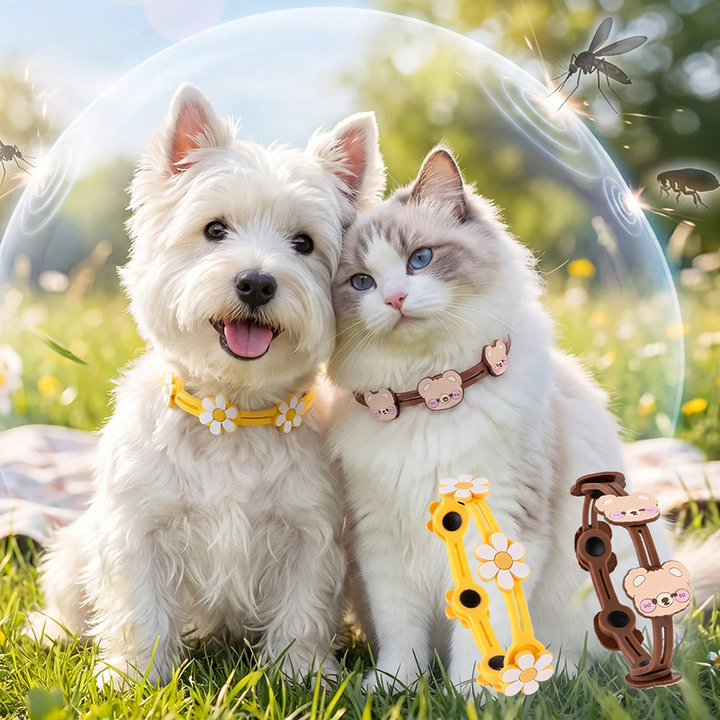 Floral pattern dog and cat collar