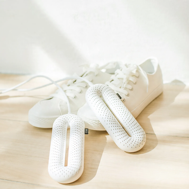 Electric shoe dryer with disinfection function