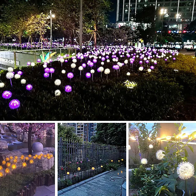 Stornfield | 2-Pack : lumières de jardin à dandelion solaires extérieures
