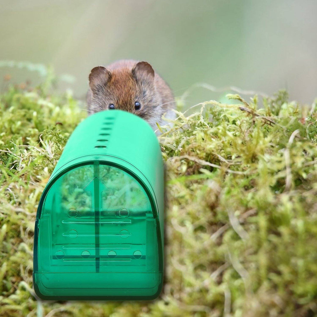 Stornfield | 2-pack: Reusable Humane Mouse Trap