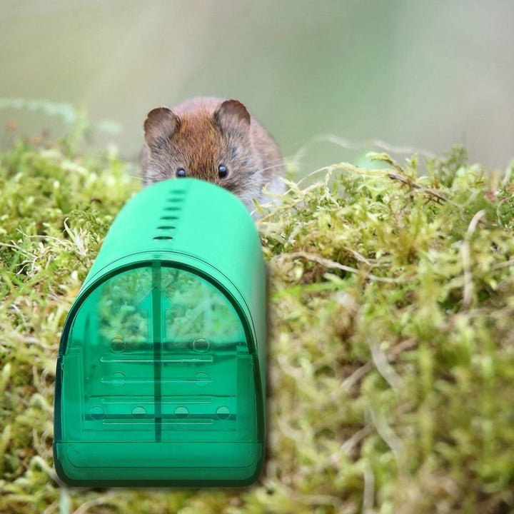 Stornfield | 2-pack: Reusable Humane Mouse Trap