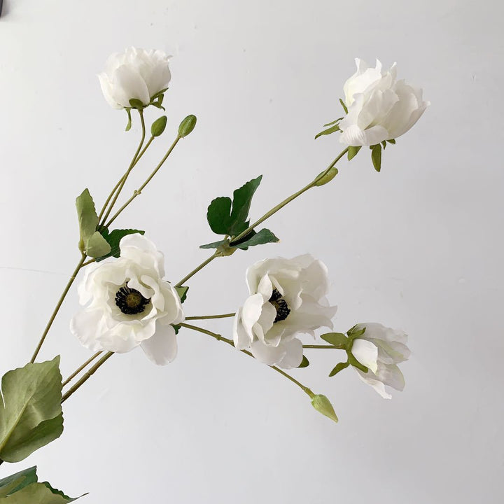 Elegant Peony Stem