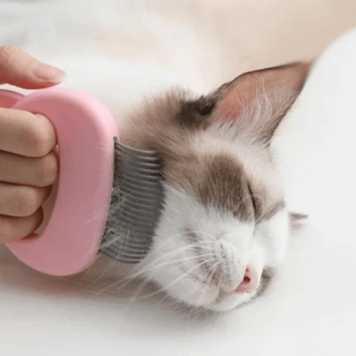 2-in-1 Mini Pet Comb | Stornfield