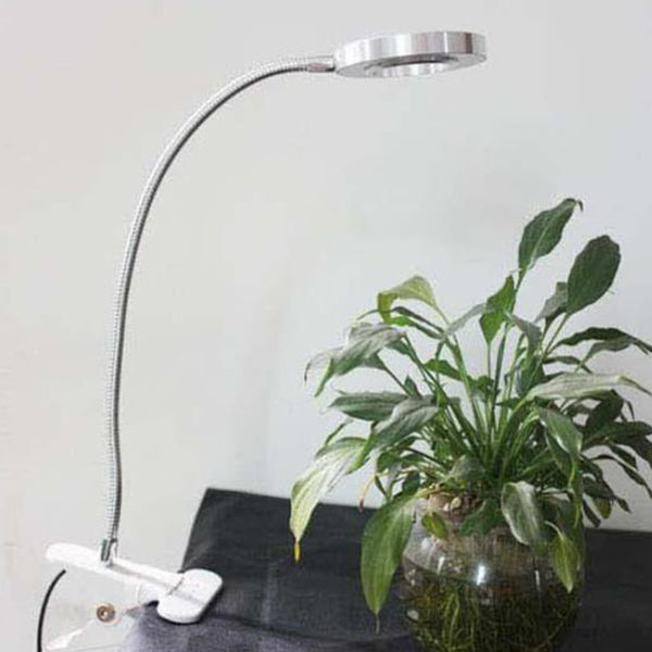 Stornfield | Creative simple USB pants button LED reading clip desk lamp