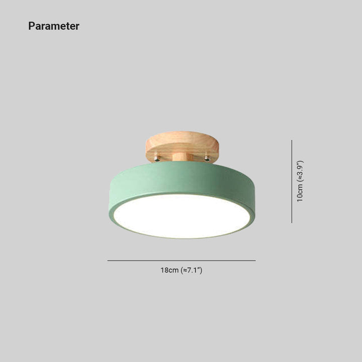 Alaric Modern LED Ceiling Lamp | Stornfield