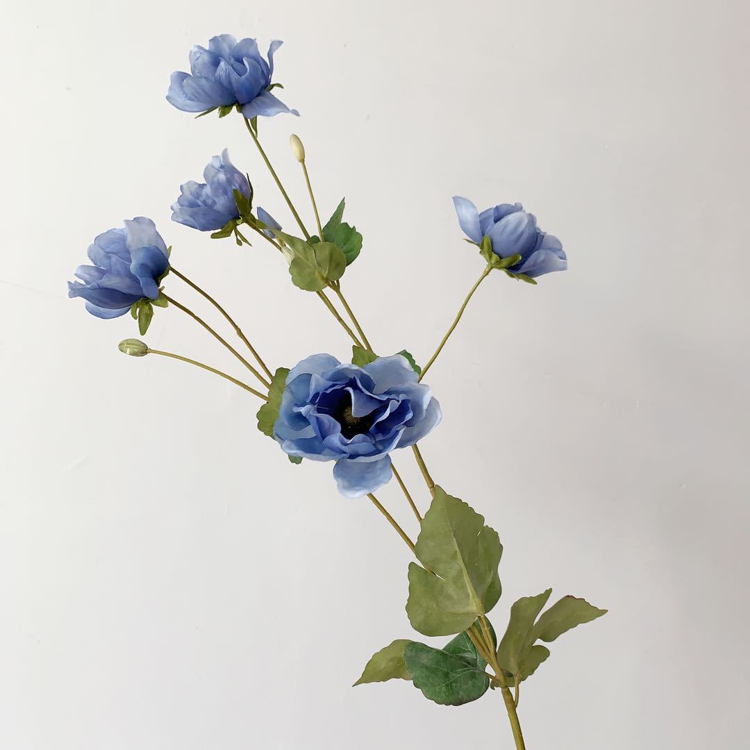 Elegant Peony Stem