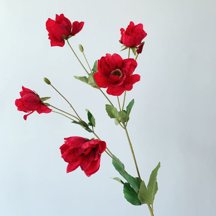 Elegant Peony Stem