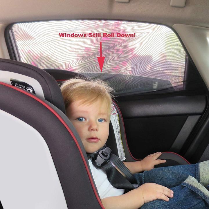 Stornfield | Universal Car Window Screens (Fits all Cars)