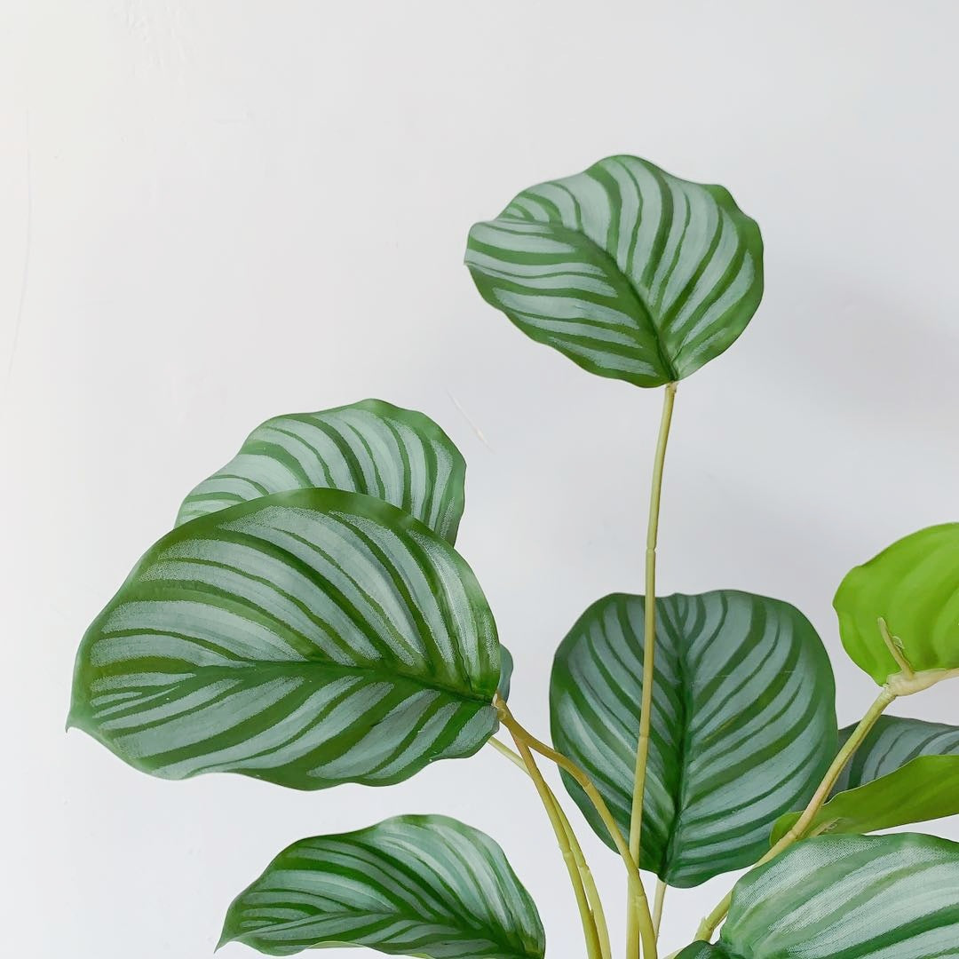 Lifelike Leafy Plant Arrangement