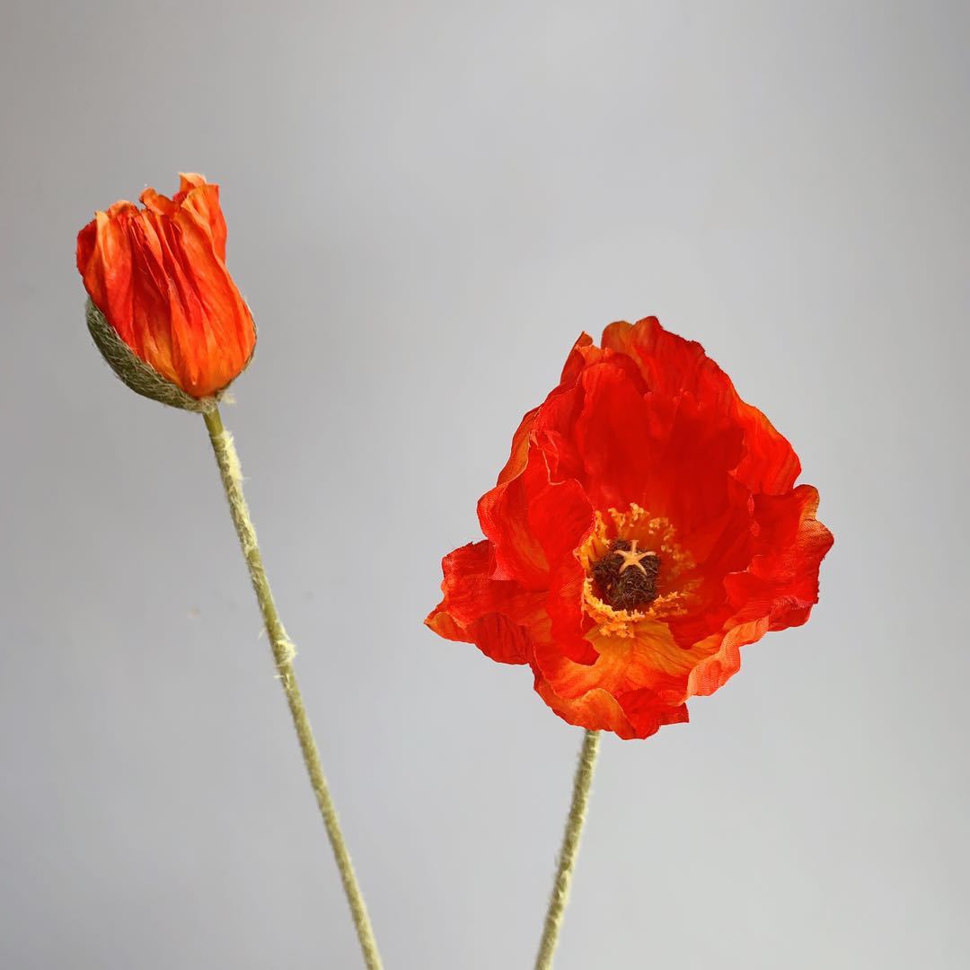 Realistic Poppy Stem