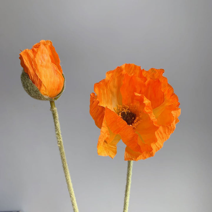Realistic Poppy Stem