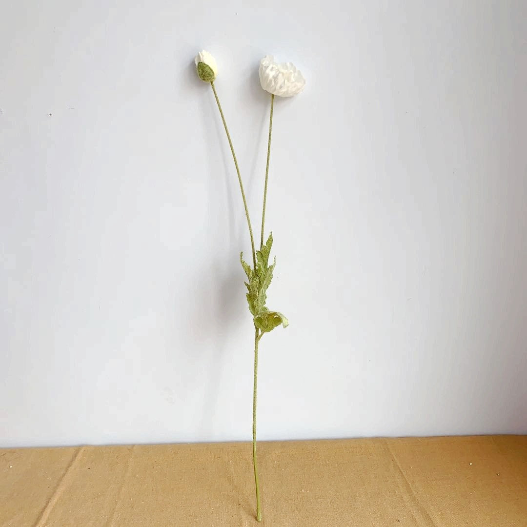 Realistic Poppy Stem