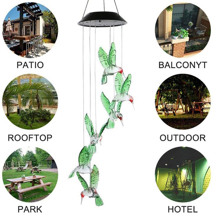 Solar Motion Sensor Security Flood Light